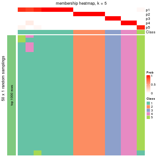 plot of chunk tab-node-0121-membership-heatmap-4