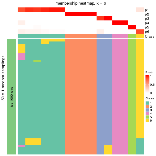 plot of chunk tab-node-0121-membership-heatmap-5