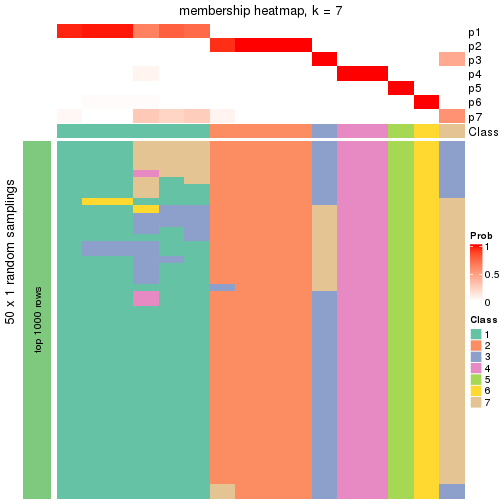 plot of chunk tab-node-0121-membership-heatmap-6