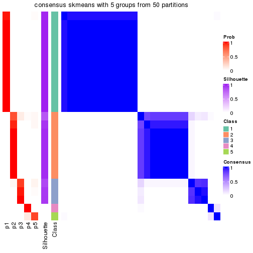 plot of chunk tab-node-0122-consensus-heatmap-4