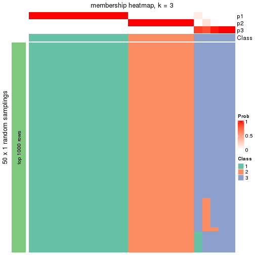 plot of chunk tab-node-0122-membership-heatmap-2