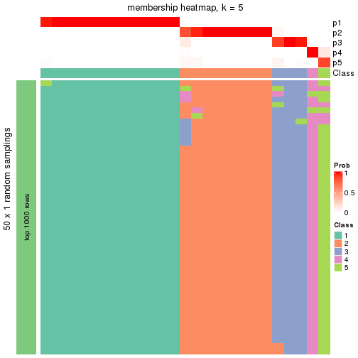 plot of chunk tab-node-0122-membership-heatmap-4