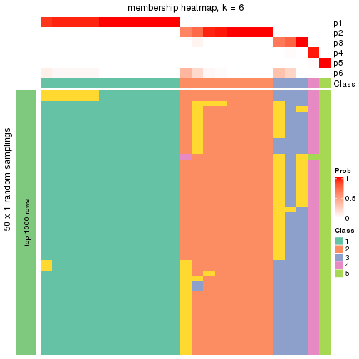 plot of chunk tab-node-0122-membership-heatmap-5