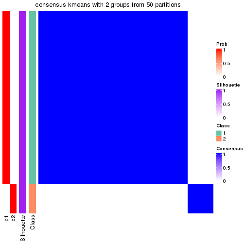 plot of chunk tab-node-02-consensus-heatmap-1