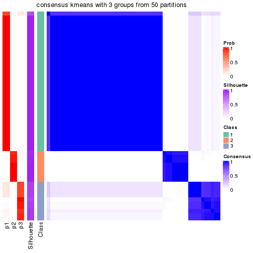 plot of chunk tab-node-02-consensus-heatmap-2