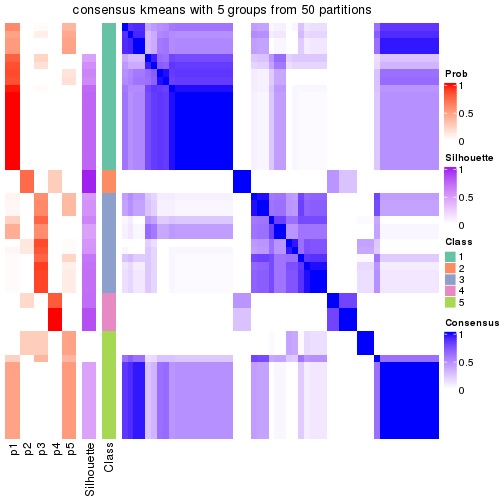 plot of chunk tab-node-02-consensus-heatmap-4