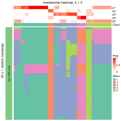 plot of chunk tab-node-02-membership-heatmap-4