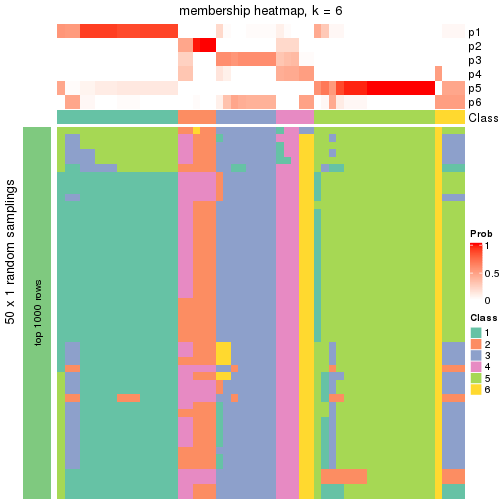 plot of chunk tab-node-02-membership-heatmap-5