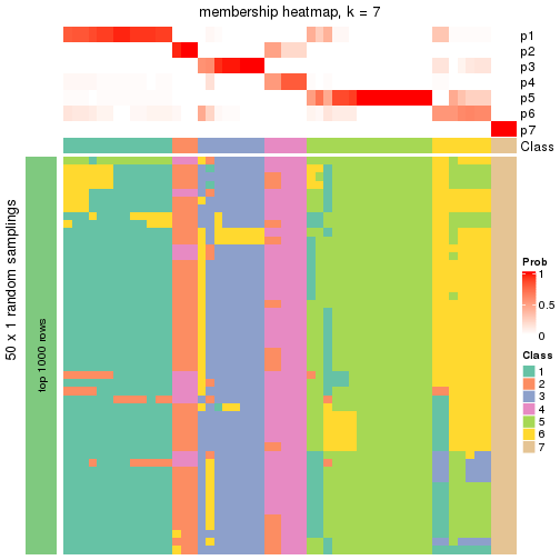 plot of chunk tab-node-02-membership-heatmap-6