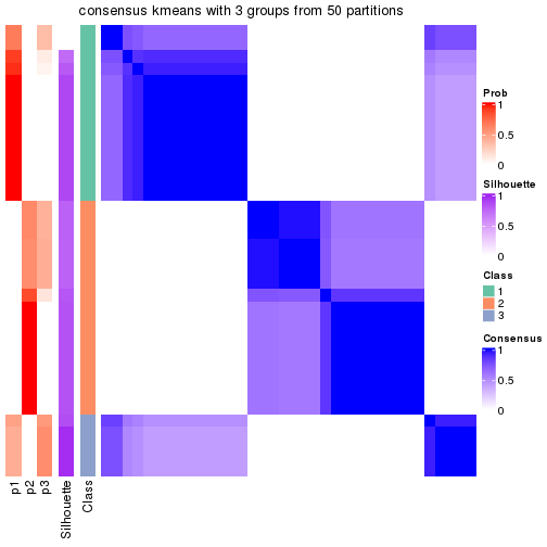 plot of chunk tab-node-021-consensus-heatmap-2