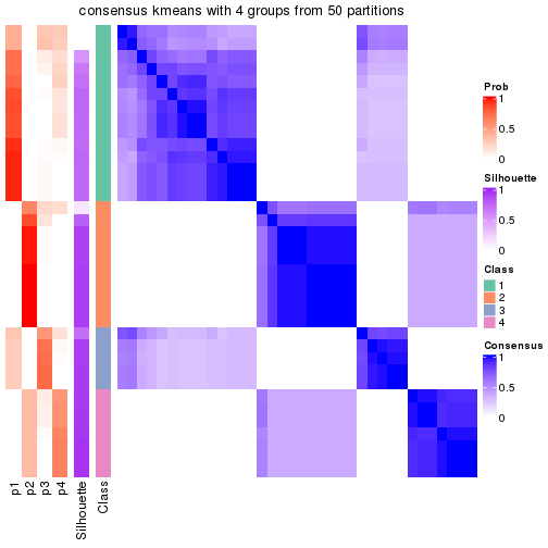 plot of chunk tab-node-021-consensus-heatmap-3