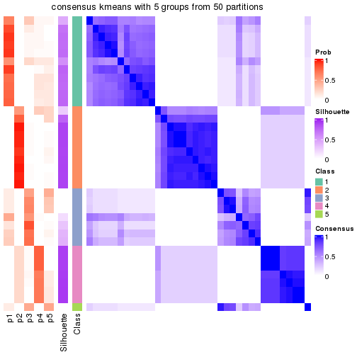 plot of chunk tab-node-021-consensus-heatmap-4