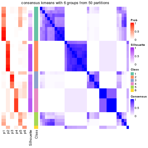 plot of chunk tab-node-021-consensus-heatmap-5