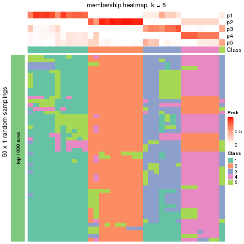 plot of chunk tab-node-021-membership-heatmap-4