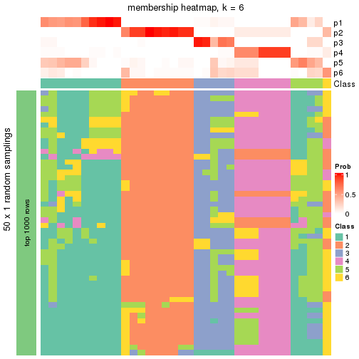 plot of chunk tab-node-021-membership-heatmap-5