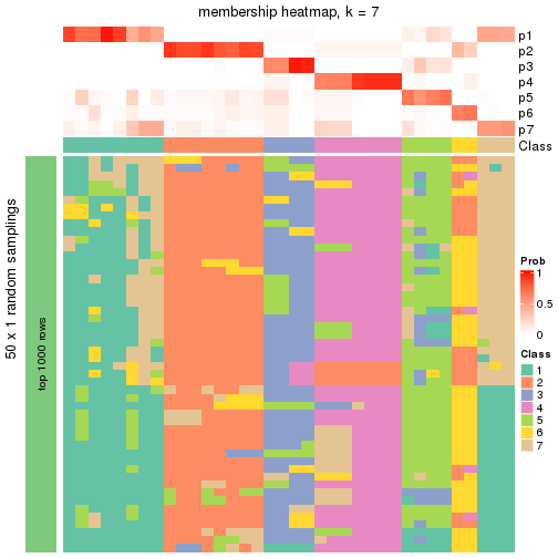 plot of chunk tab-node-021-membership-heatmap-6