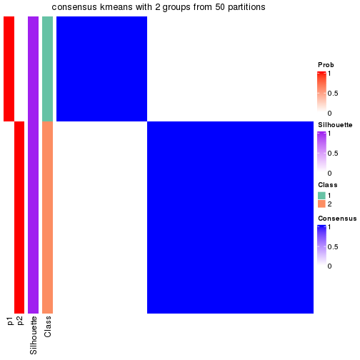 plot of chunk tab-node-0212-consensus-heatmap-1