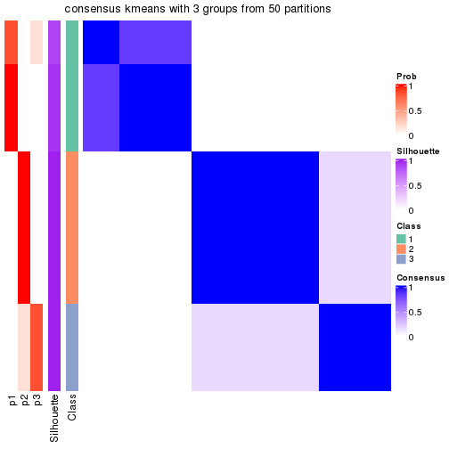 plot of chunk tab-node-0212-consensus-heatmap-2