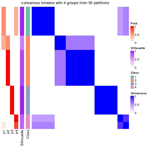 plot of chunk tab-node-0212-consensus-heatmap-3