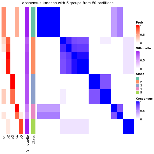 plot of chunk tab-node-0212-consensus-heatmap-4