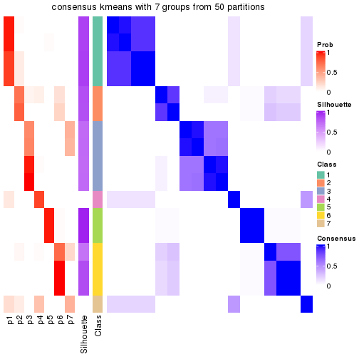 plot of chunk tab-node-0212-consensus-heatmap-6