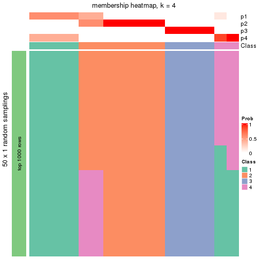 plot of chunk tab-node-0212-membership-heatmap-3