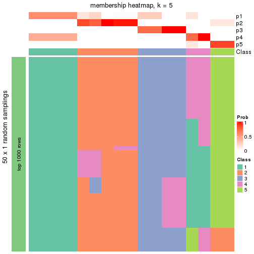 plot of chunk tab-node-0212-membership-heatmap-4