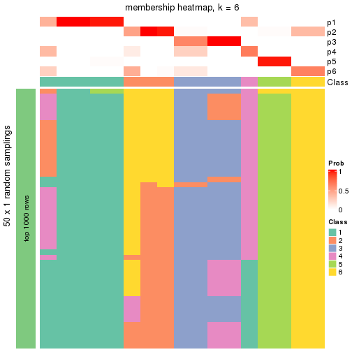 plot of chunk tab-node-0212-membership-heatmap-5