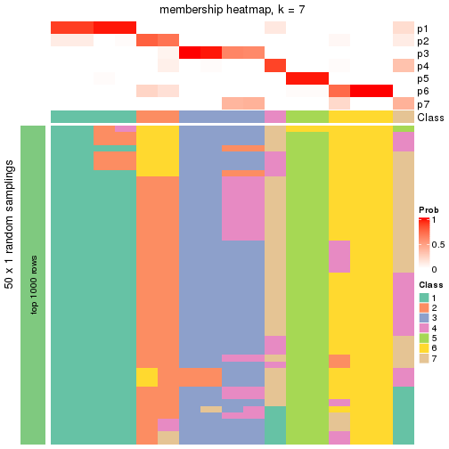 plot of chunk tab-node-0212-membership-heatmap-6