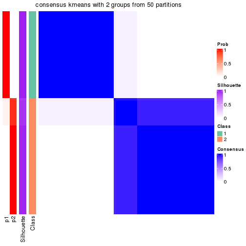 plot of chunk tab-node-04-consensus-heatmap-1