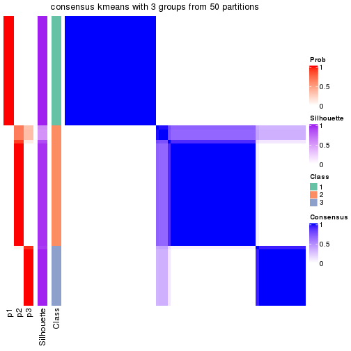 plot of chunk tab-node-04-consensus-heatmap-2