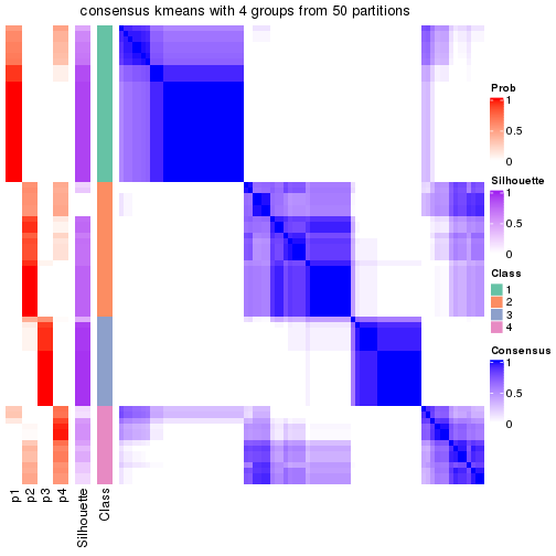 plot of chunk tab-node-04-consensus-heatmap-3