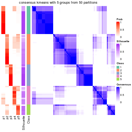 plot of chunk tab-node-04-consensus-heatmap-4