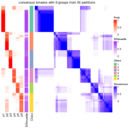 plot of chunk tab-node-04-consensus-heatmap-5