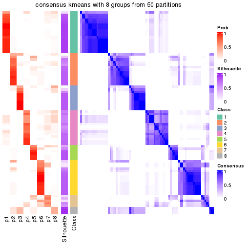 plot of chunk tab-node-04-consensus-heatmap-7