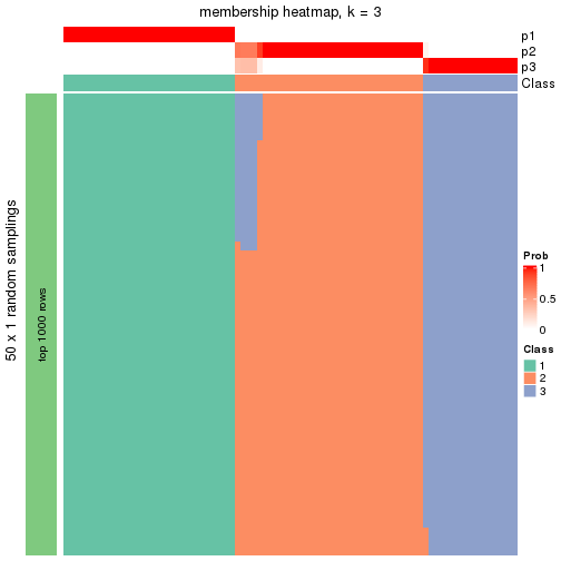 plot of chunk tab-node-04-membership-heatmap-2