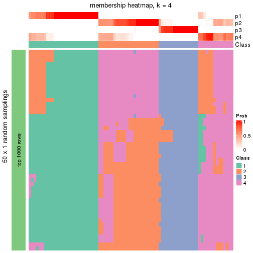 plot of chunk tab-node-04-membership-heatmap-3