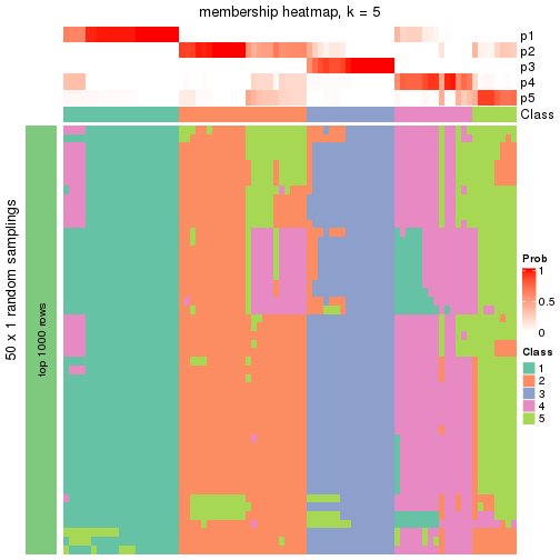 plot of chunk tab-node-04-membership-heatmap-4