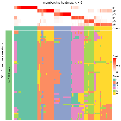 plot of chunk tab-node-04-membership-heatmap-5