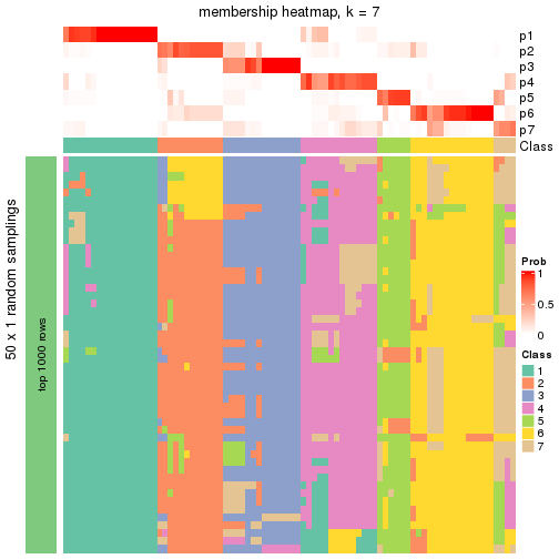 plot of chunk tab-node-04-membership-heatmap-6