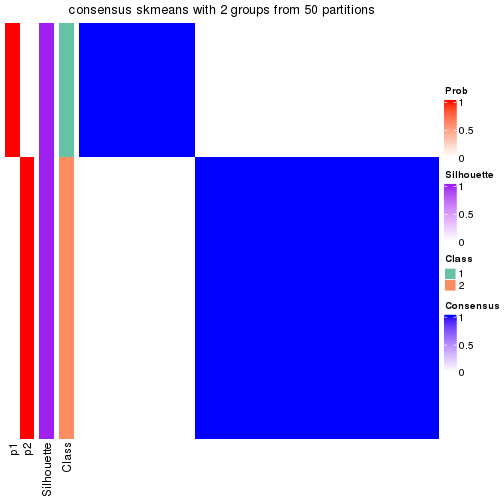 plot of chunk tab-node-041-consensus-heatmap-1