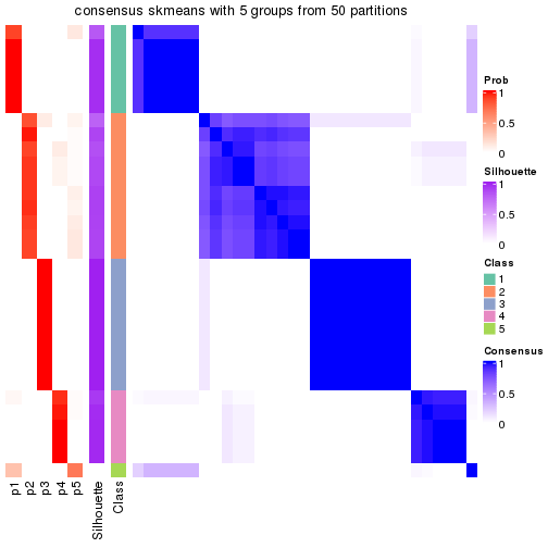 plot of chunk tab-node-041-consensus-heatmap-4