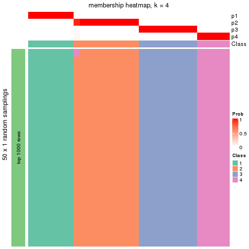 plot of chunk tab-node-041-membership-heatmap-3