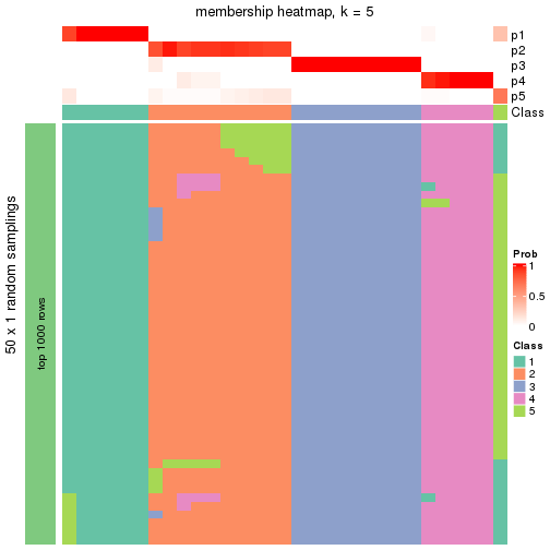 plot of chunk tab-node-041-membership-heatmap-4