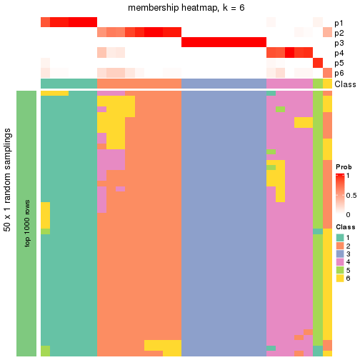 plot of chunk tab-node-041-membership-heatmap-5