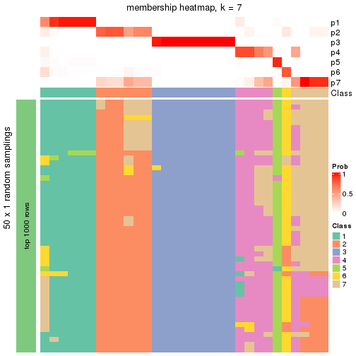 plot of chunk tab-node-041-membership-heatmap-6