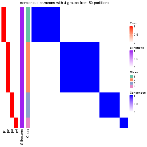 plot of chunk tab-node-042-consensus-heatmap-3