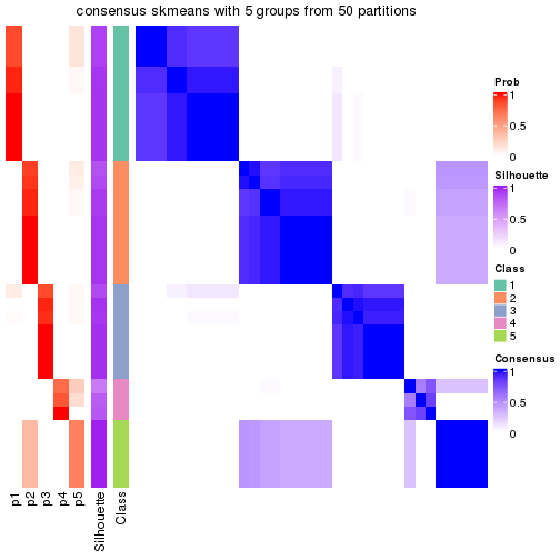 plot of chunk tab-node-042-consensus-heatmap-4