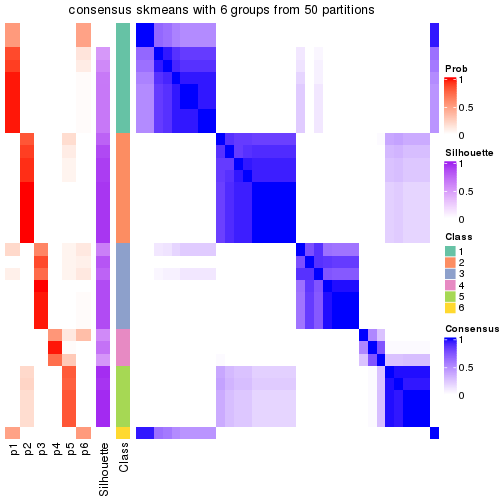 plot of chunk tab-node-042-consensus-heatmap-5