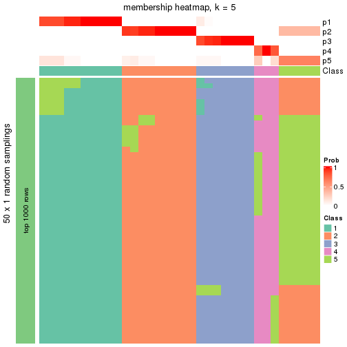 plot of chunk tab-node-042-membership-heatmap-4